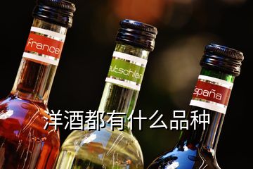 洋酒都有什么品種