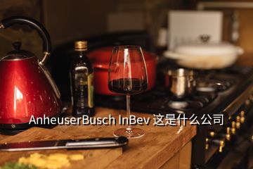 AnheuserBusch InBev 這是什么公司