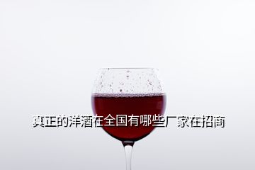 真正的洋酒在全國(guó)有哪些廠家在招商