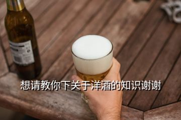 想請教你下關(guān)于洋酒的知識謝謝