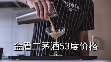 金盾二茅酒53度價格