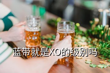 藍(lán)帶就是XO的級(jí)別嗎