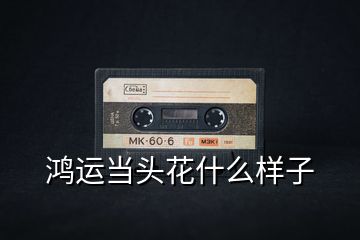 鴻運當(dāng)頭花什么樣子