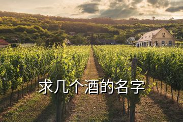 求幾個酒的名字