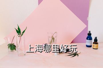 上海哪里好玩