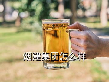 煙建集團怎么樣