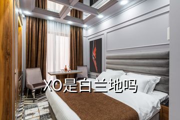 XO是白蘭地嗎