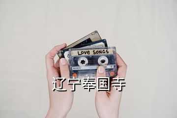 遼寧奉國寺