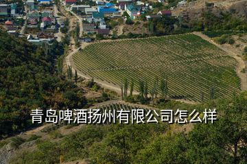 青島啤酒揚(yáng)州有限公司怎么樣