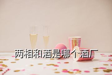 兩相和酒是哪個酒廠