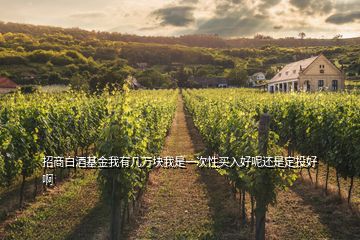 招商白酒基金我有幾萬塊我是一次性買入好呢還是定投好啊