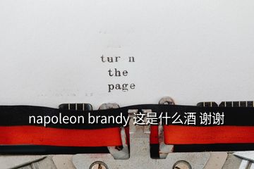 napoleon brandy 這是什么酒 謝謝