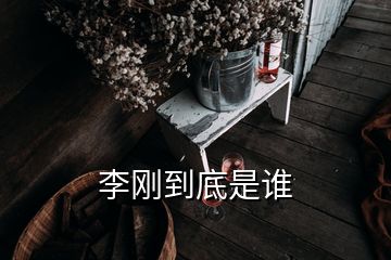 李剛到底是誰(shuí)