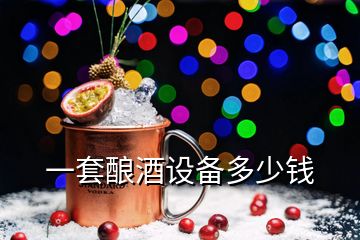 一套釀酒設(shè)備多少錢