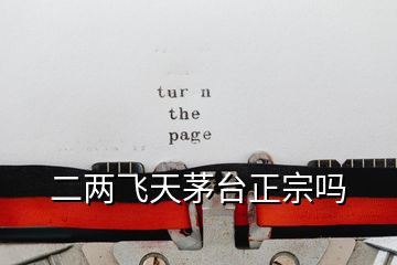 二兩飛天茅臺(tái)正宗嗎