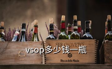 vsop多少錢一瓶