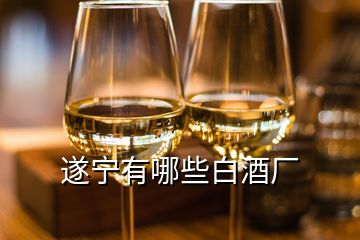 遂寧有哪些白酒廠