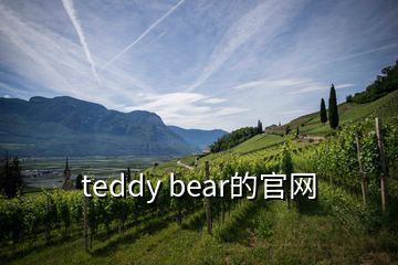 teddy bear的官網(wǎng)