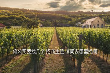 俺公司要找?guī)讉€(gè) 招商主管 請問去哪里找啊