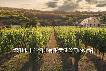 綿陽市豐谷酒業(yè)有限責(zé)任公司的介紹