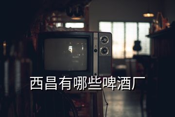 西昌有哪些啤酒廠