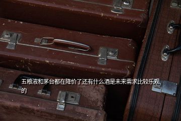五糧液和茅臺(tái)都在降價(jià)了還有什么酒是未來(lái)需求比較樂(lè)觀的