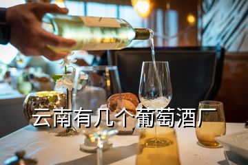 云南有幾個葡萄酒廠