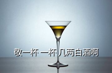 敬一杯 一杯 幾兩白酒啊