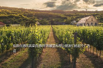 有款白酒叫高粱白酒8年陳釀藍(lán)標(biāo)想讓朋友們給起個(gè)廣告語(yǔ)