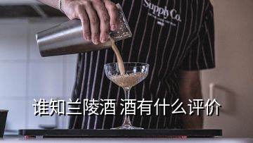 誰知蘭陵酒 酒有什么評價