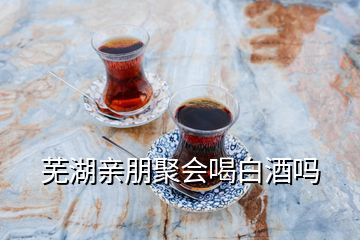 蕪湖親朋聚會喝白酒嗎