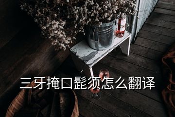 三牙掩口髭須怎么翻譯