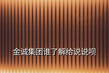 金誠集團(tuán)誰了解給說說唄