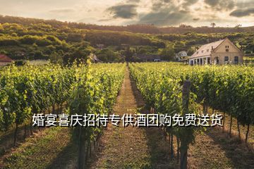 婚宴喜慶招待專供酒團購免費送貨
