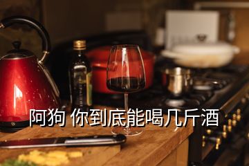 阿狗 你到底能喝幾斤酒