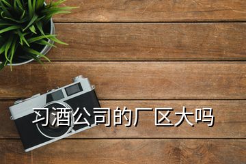 習酒公司的廠區(qū)大嗎