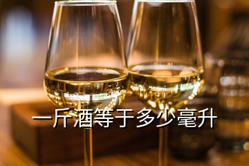 一斤酒等于多少毫升