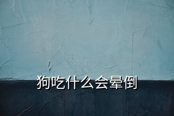 狗吃什么會(huì)暈倒