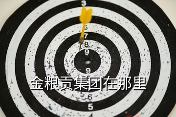 金糧貢集團(tuán)在那里