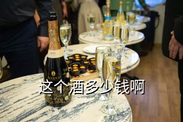 這個(gè)酒多少錢(qián)啊