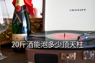 20斤酒能泡多少頂天柱