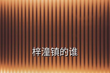 梓潼鎮(zhèn)的誰