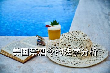 美國禁酒令的法學(xué)分析