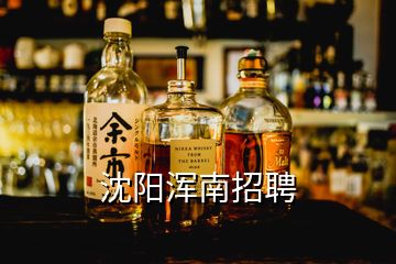 沈陽(yáng)渾南招聘