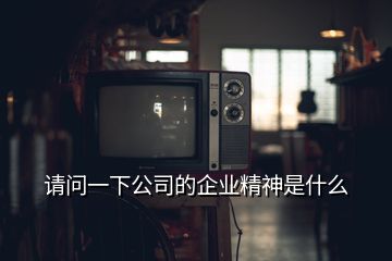 請問一下公司的企業(yè)精神是什么