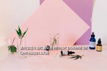 請問法國卡洛紅葡萄酒 MERLOT DOMAINE DE CANTAUSSELS大概