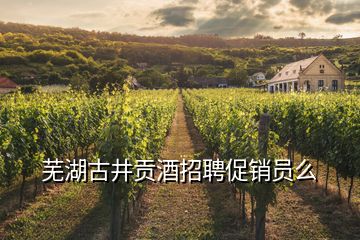 蕪湖古井貢酒招聘促銷(xiāo)員么