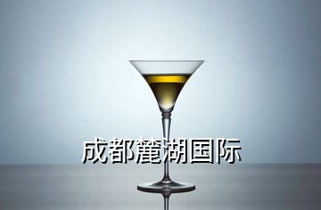 成都麓湖國(guó)際