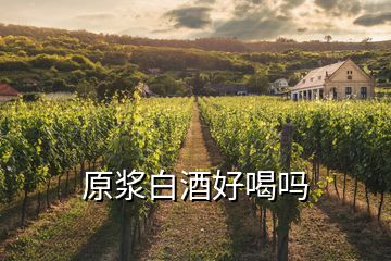 原漿白酒好喝嗎