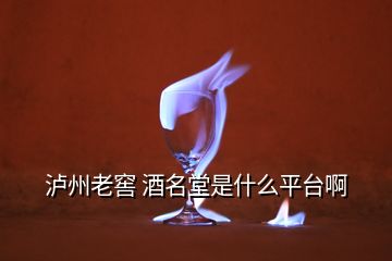 瀘州老窖 酒名堂是什么平臺(tái)啊